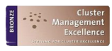 2011 – Cluster Excellence Bronze